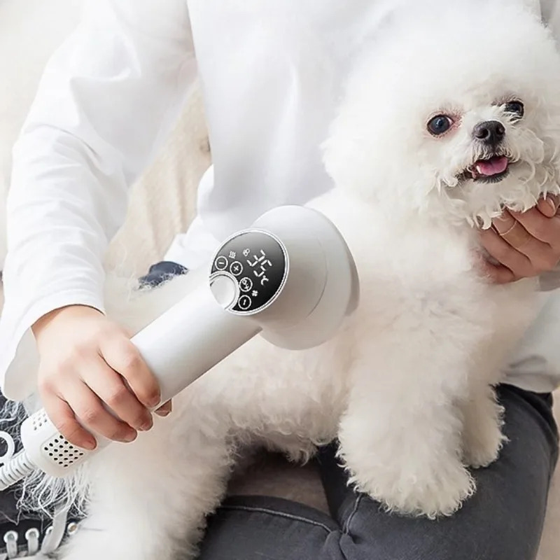 Pet Supplies And More - Sèche-cheveux professionnel pour animaux de compagnie,