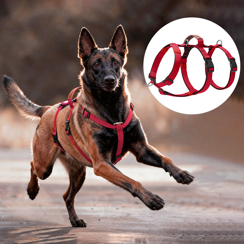 Harnais pour chien en Nylon an - No Pull Dog Harness avis et prix