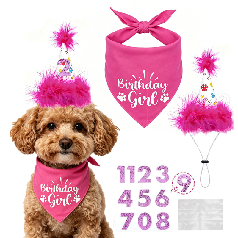 Ensemble de fête d'anniversair - Pet Supplies In Bulk avis et prix
