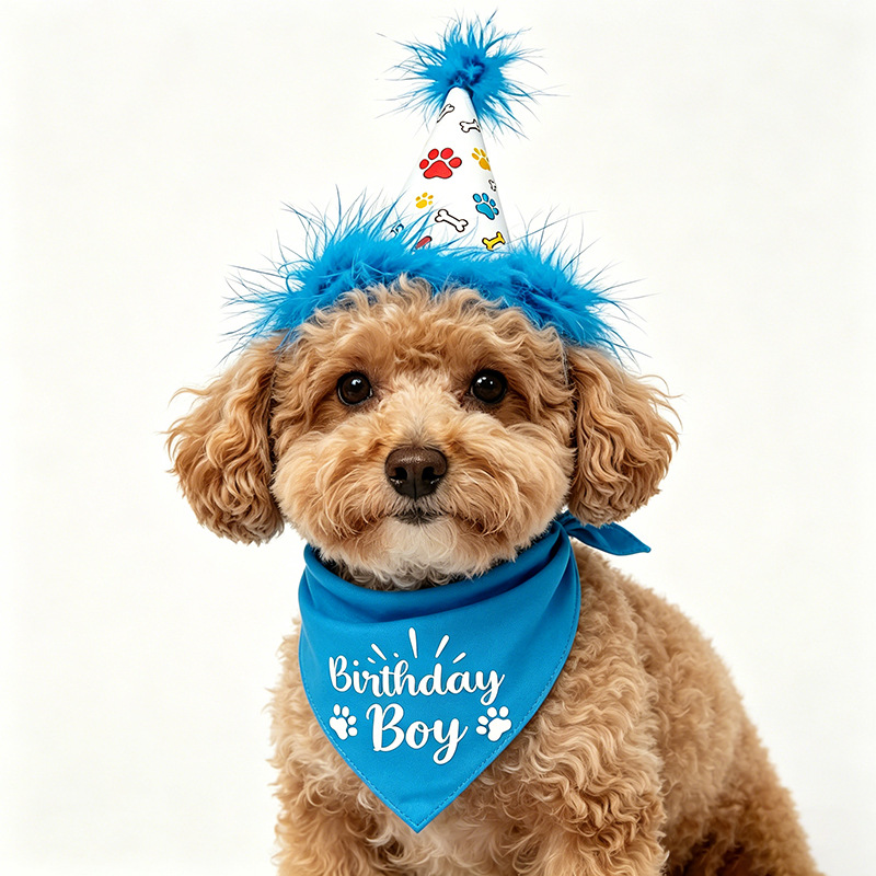 Ensemble de fête d'anniversair - Pet Supplies In Bulk avis et prix