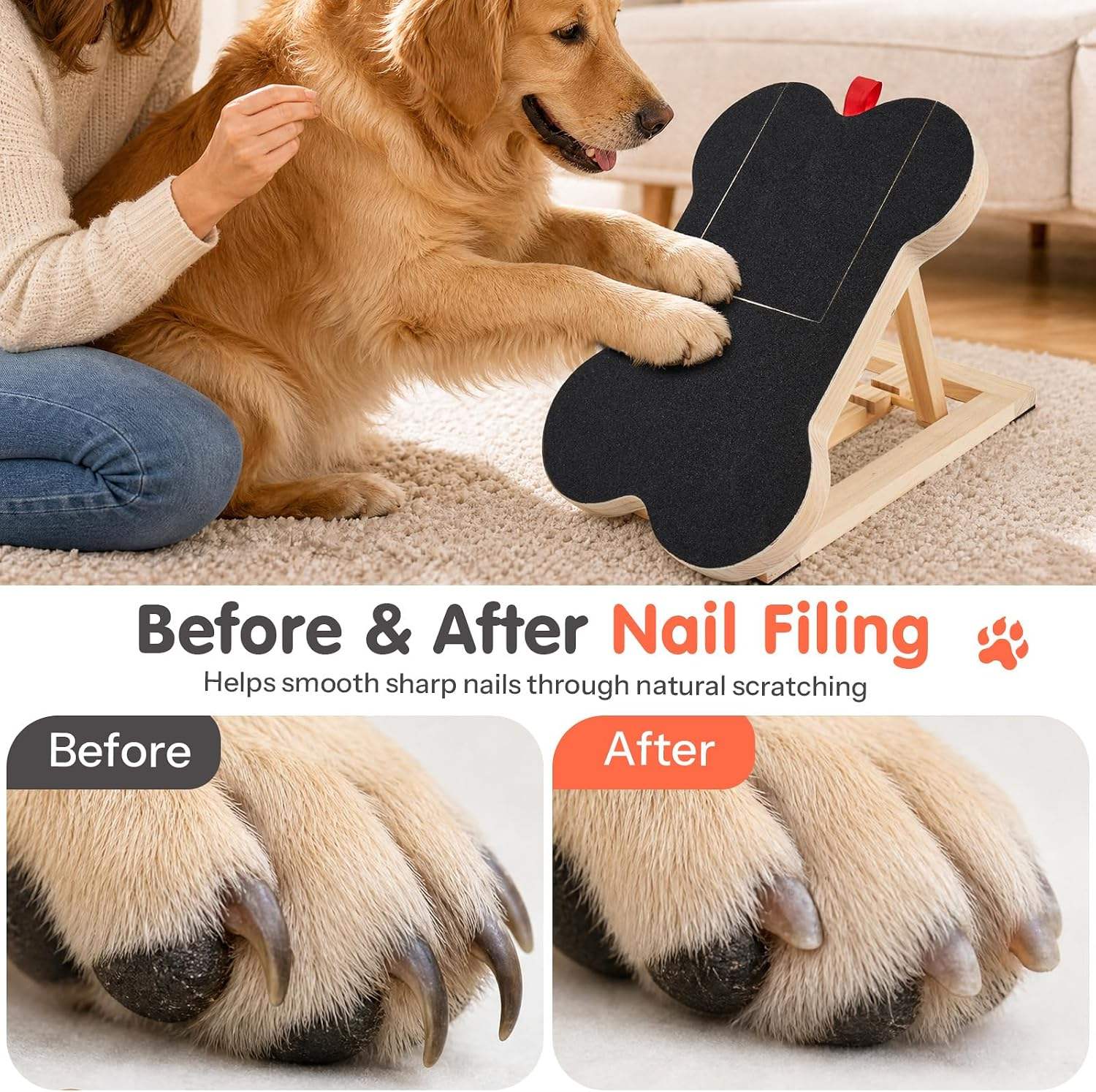 Planche à gratter les ongles e - Pet Nail Grinder avis et prix