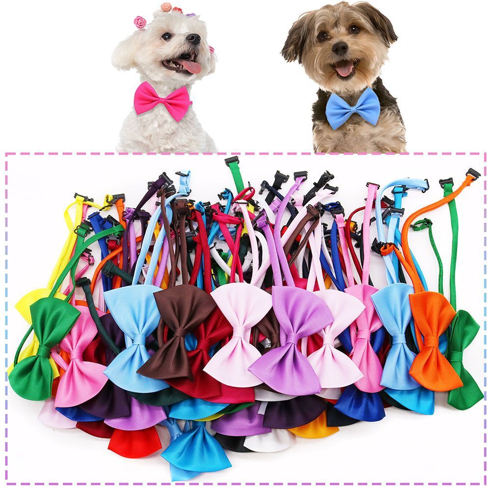 Colliers ajustables pour chien - Pet Supplies In Bulk avis et prix