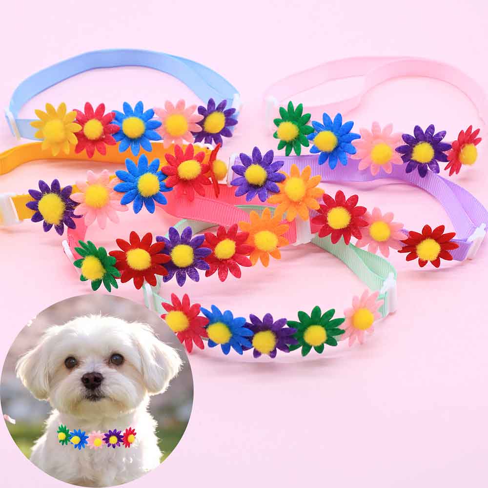 50 nœuds papillon colorés pour - Pet Supplies In Bulk avis et prix