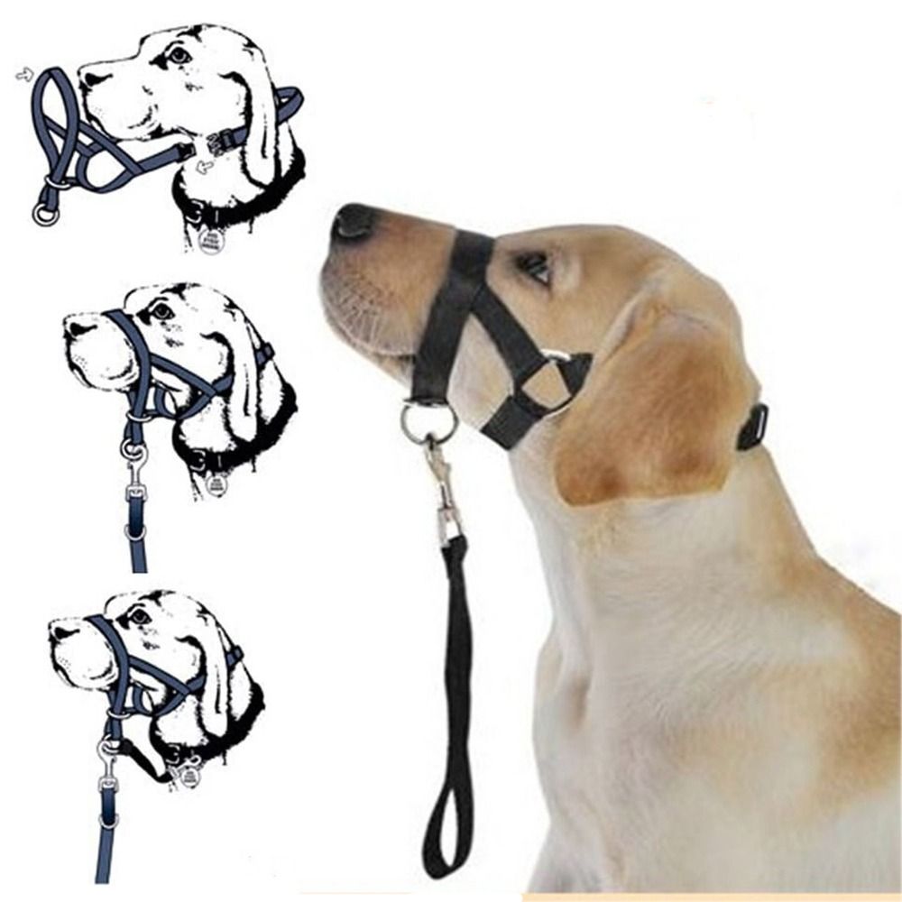 Laisse d'entraînement en nylon - No Pull Dog Harness avis et prix