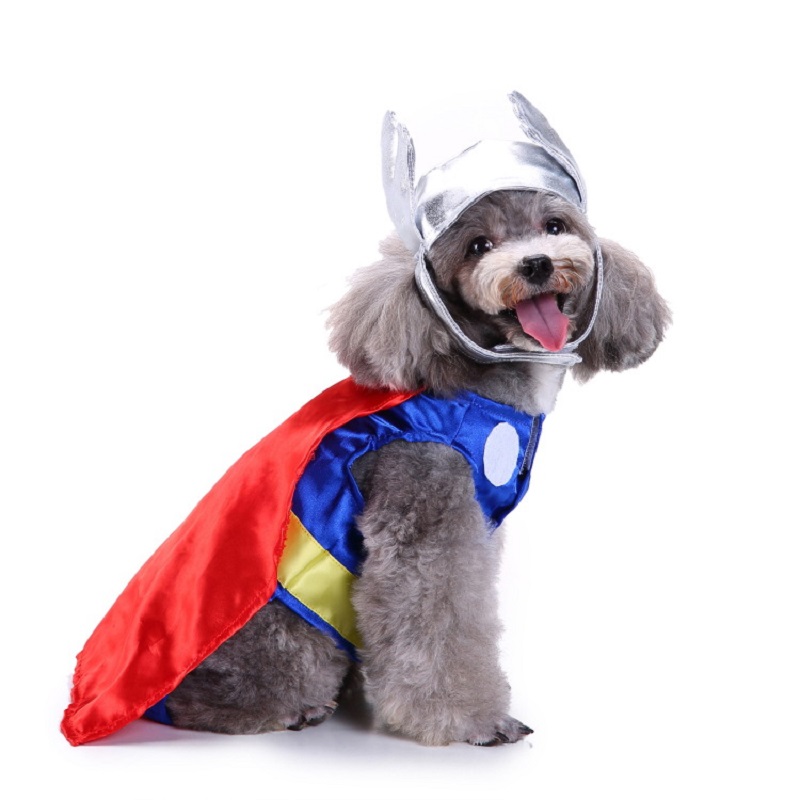 Vêtements pour Animaux de Comp - Pet Supplies And More avis et prix
