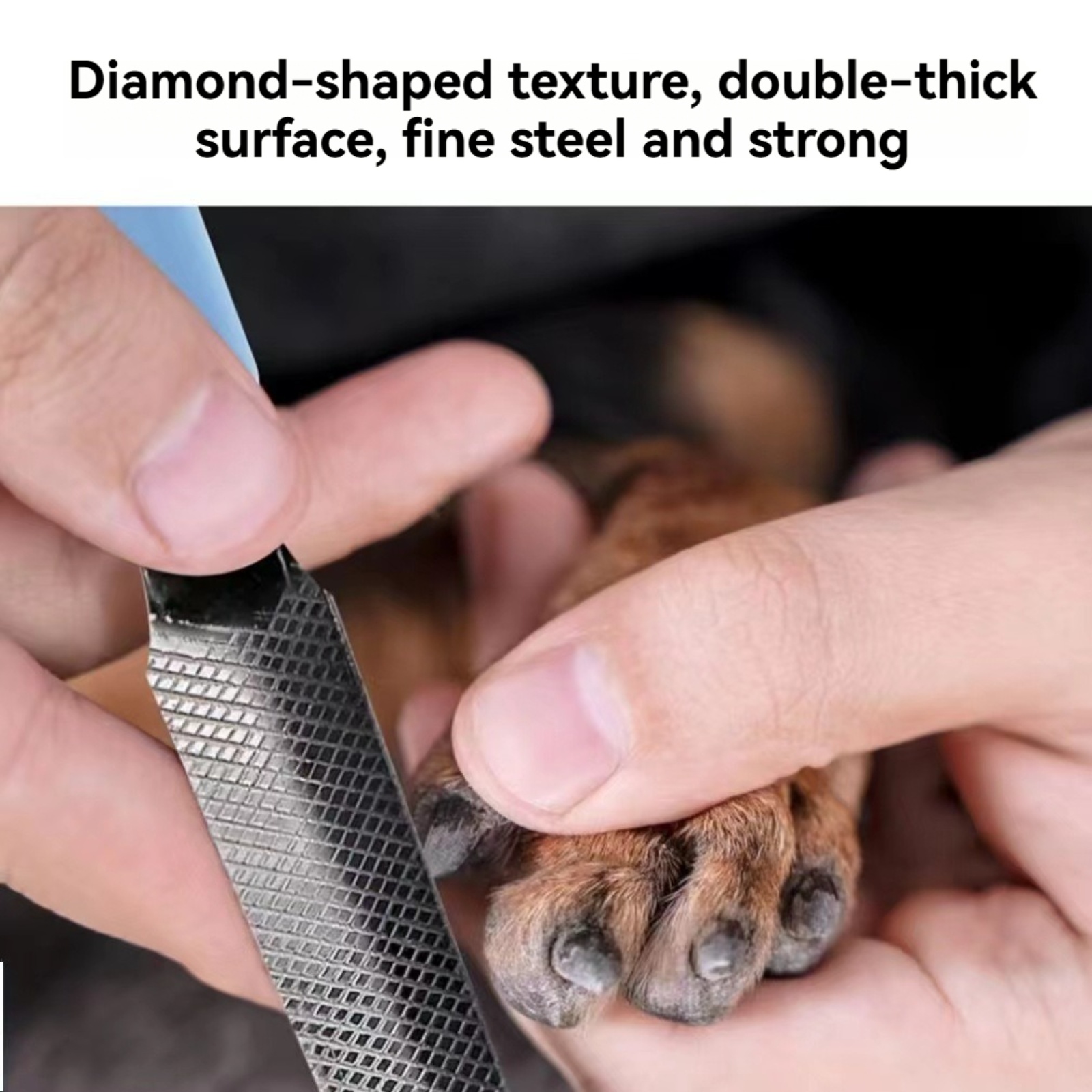 Lime à ongles pour animaux de  - Pet Nail Grinder avis et prix