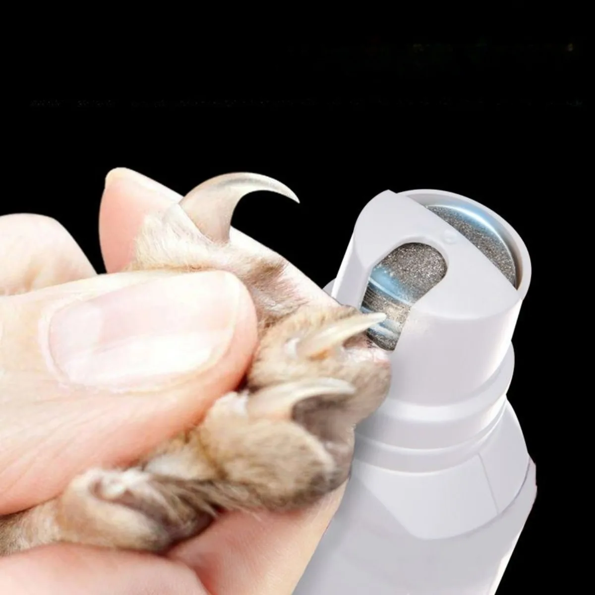 Coupe-ongles électrique pour c - Pet Nail Grinder avis et prix