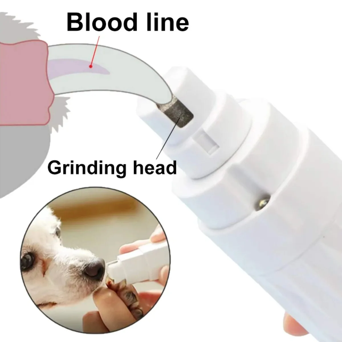 Coupe-ongles électrique pour c - Pet Nail Grinder avis et prix