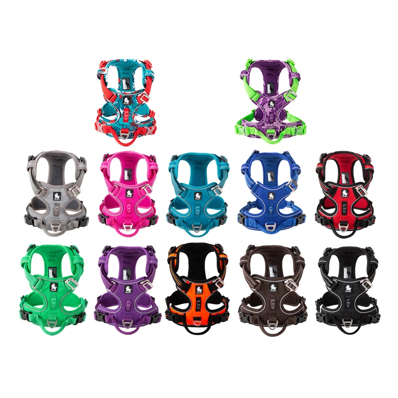 TruelGru- Chien en nylon moulé - No Pull Dog Harness avis et prix