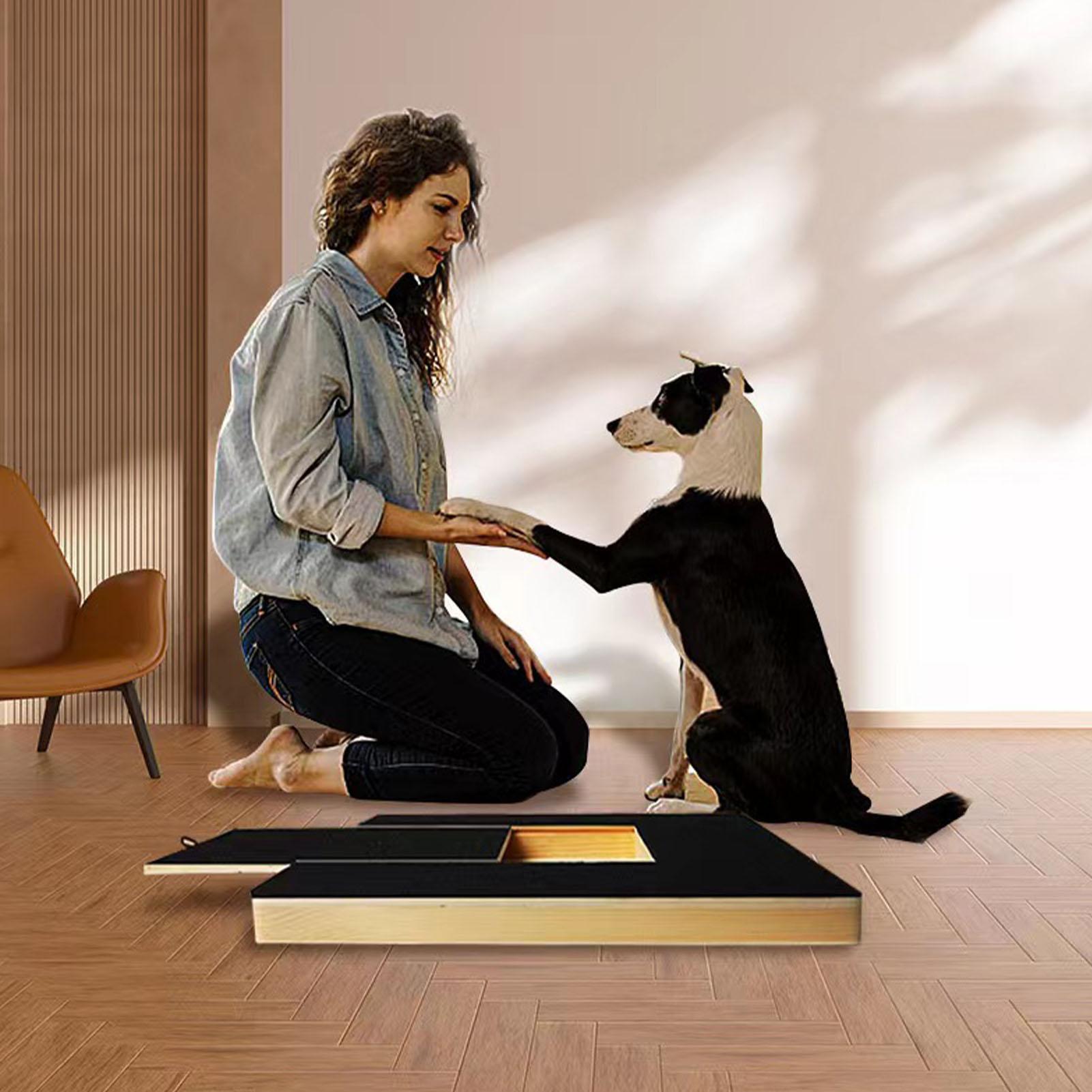 Planche à gratter pour chien,  - Pet Nail Grinder avis et prix