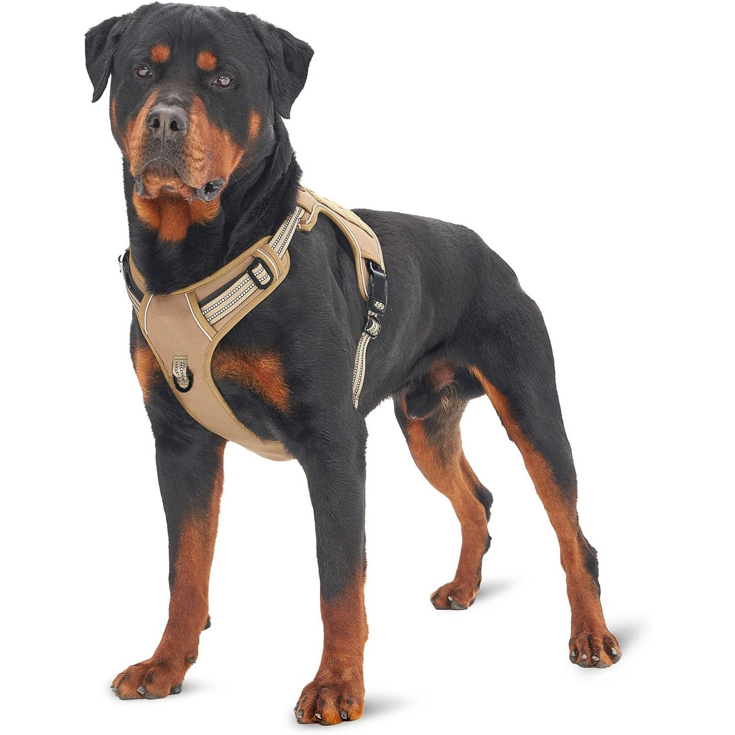 Harnais tactique militaire pou - No Pull Dog Harness avis et prix
