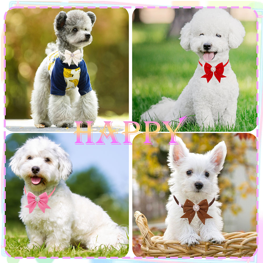 Collier floral pour chien, rub - Pet Supplies In Bulk avis et prix