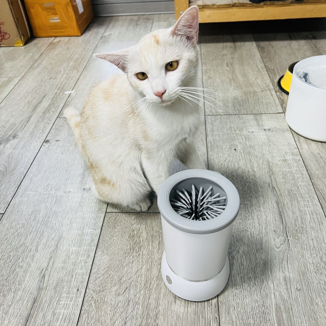 Tasse automatique de nettoyage - Dog Paw Cleaner avis et prix