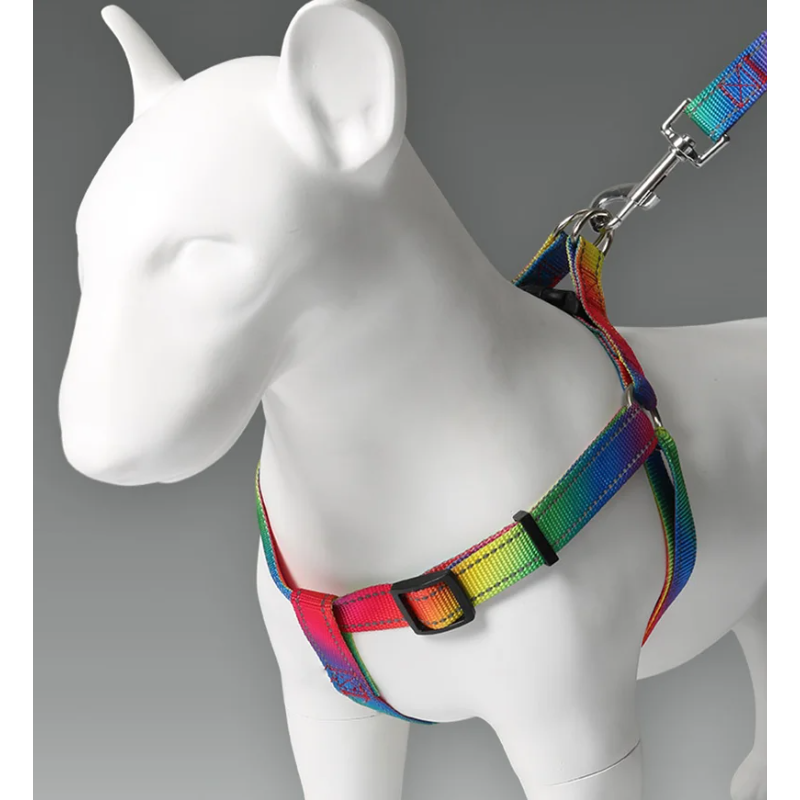 Ensemble Harnais et Laisse Réf - No Pull Dog Harness avis et prix