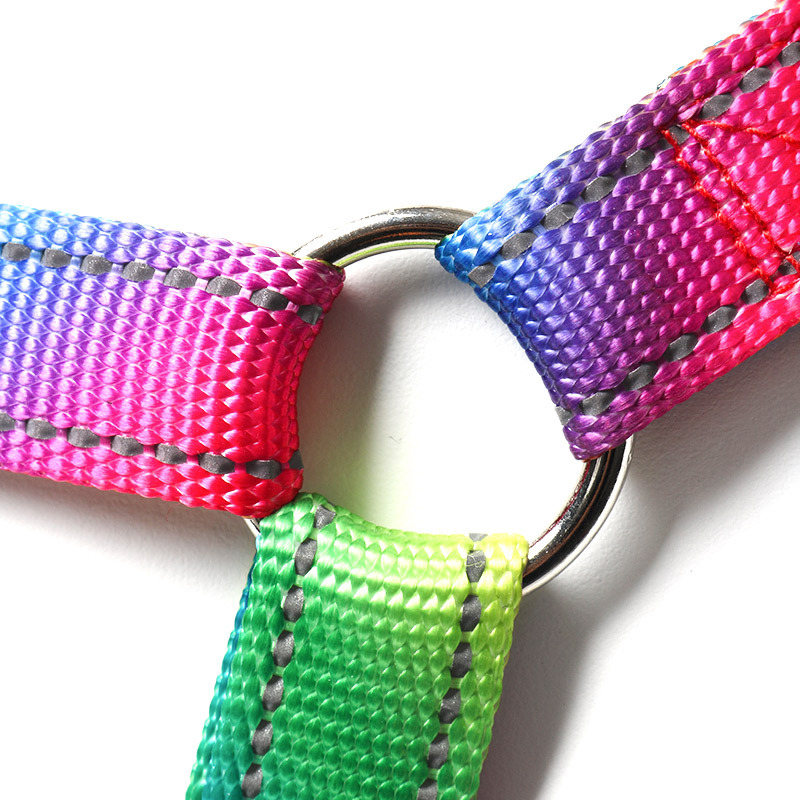 Ensemble Harnais et Laisse Réf - No Pull Dog Harness avis et prix