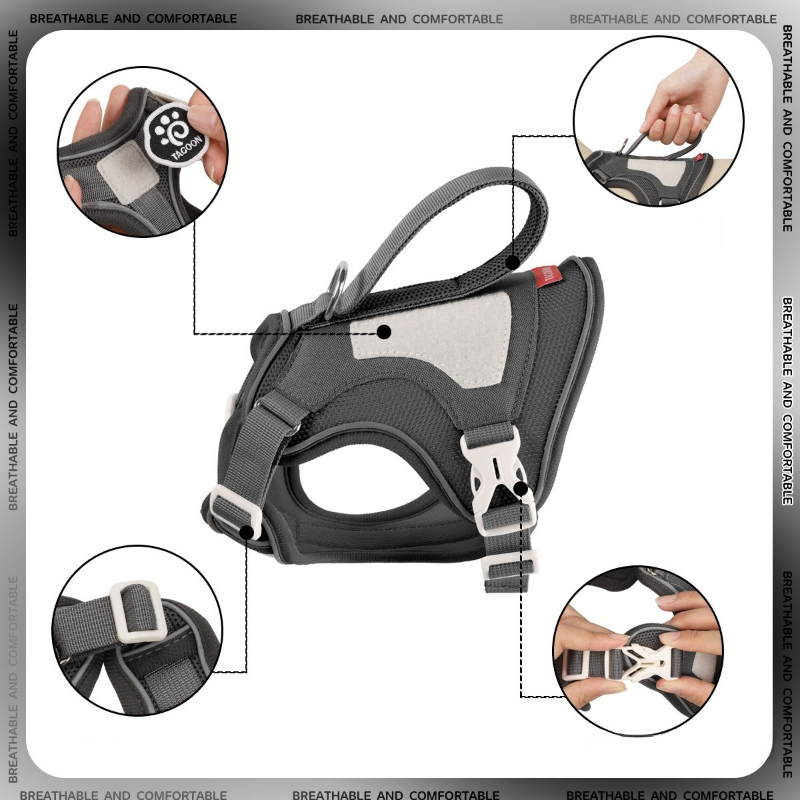 Harnais tactique pour chat ave - No Pull Dog Harness avis et prix