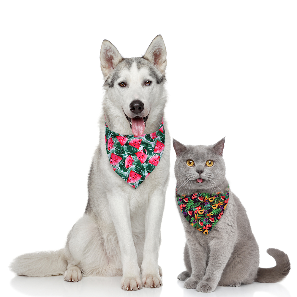 50pcs chien Bandana été fruits - Pet Supplies In Bulk avis et prix