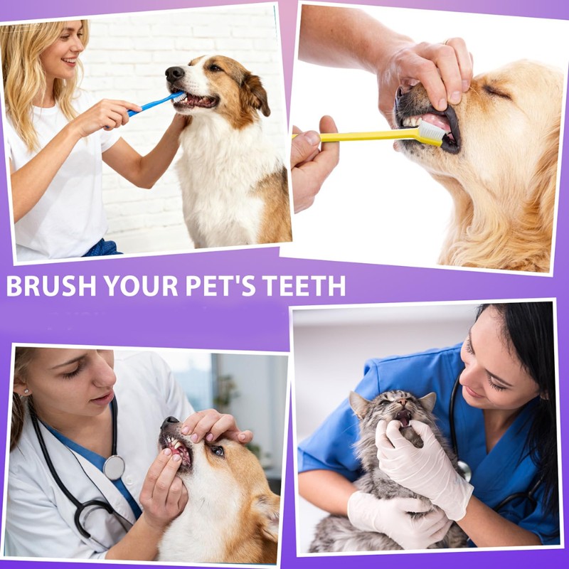 AB66-outil d'hygiène buccale p - Dog Paw Cleaner avis et prix