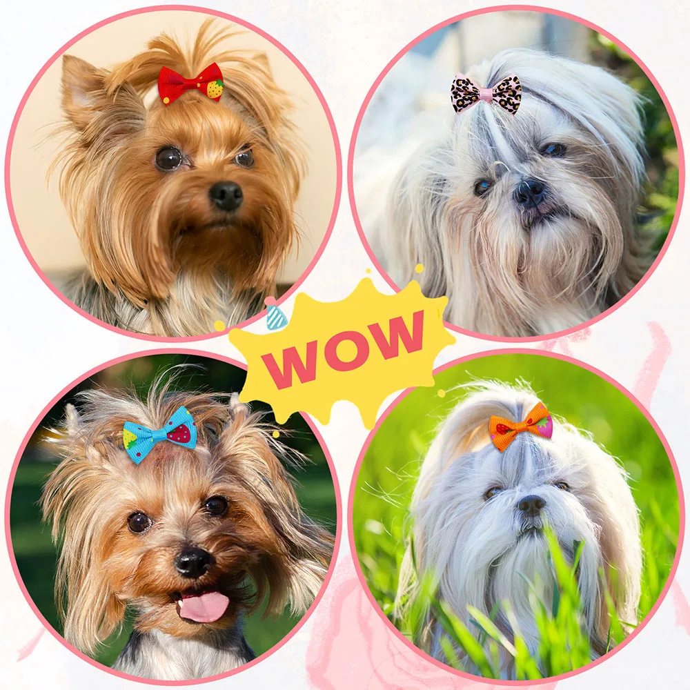 Nœuds pour chiens et chats, 50 - Pet Supplies In Bulk avis et prix